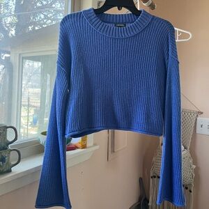 Wild fable cropped sweater